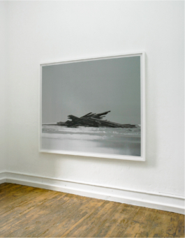 Hannes Norberg